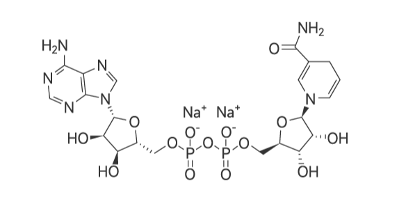 NADH_Diagram.png