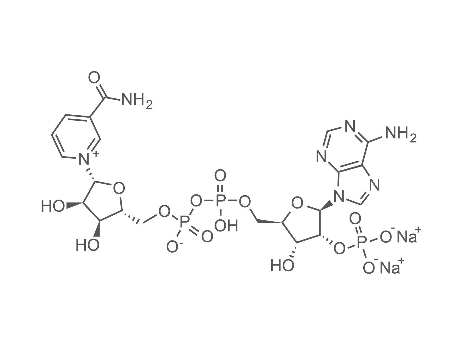 NADP_SP Pharma_1.png