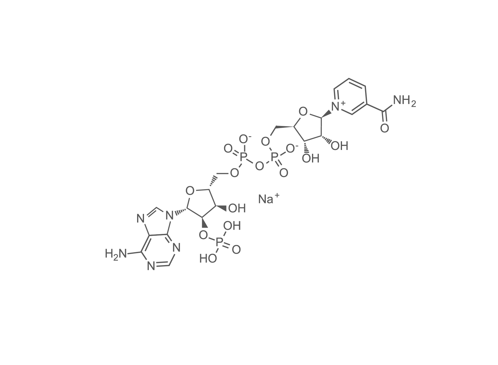 NADP_sp pharma_2.png