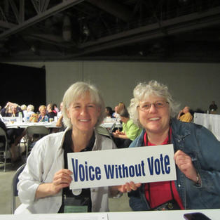 AUCE General Synod Delegates 2013