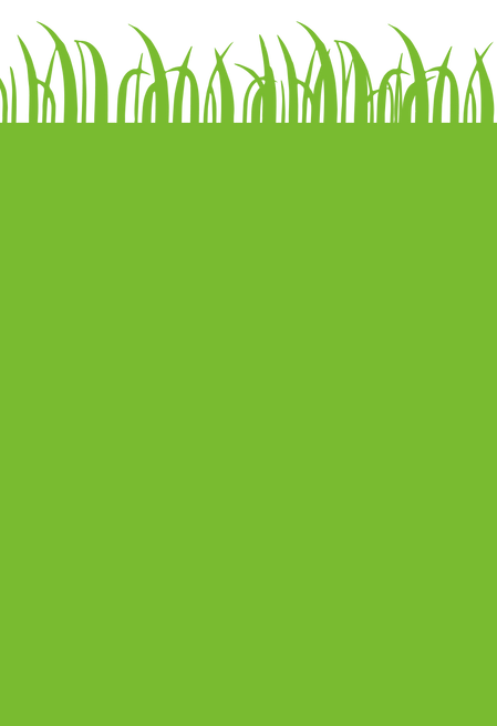 Green grass background.