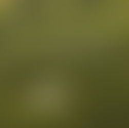 31 Days NO Social Media ?!