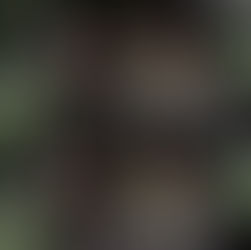 500 Days of Avoiding Emotional Commitment