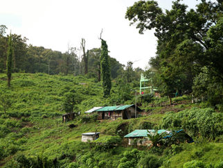 Being Here Can Be So Hard