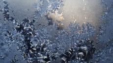 A photo of frost spreading over glass