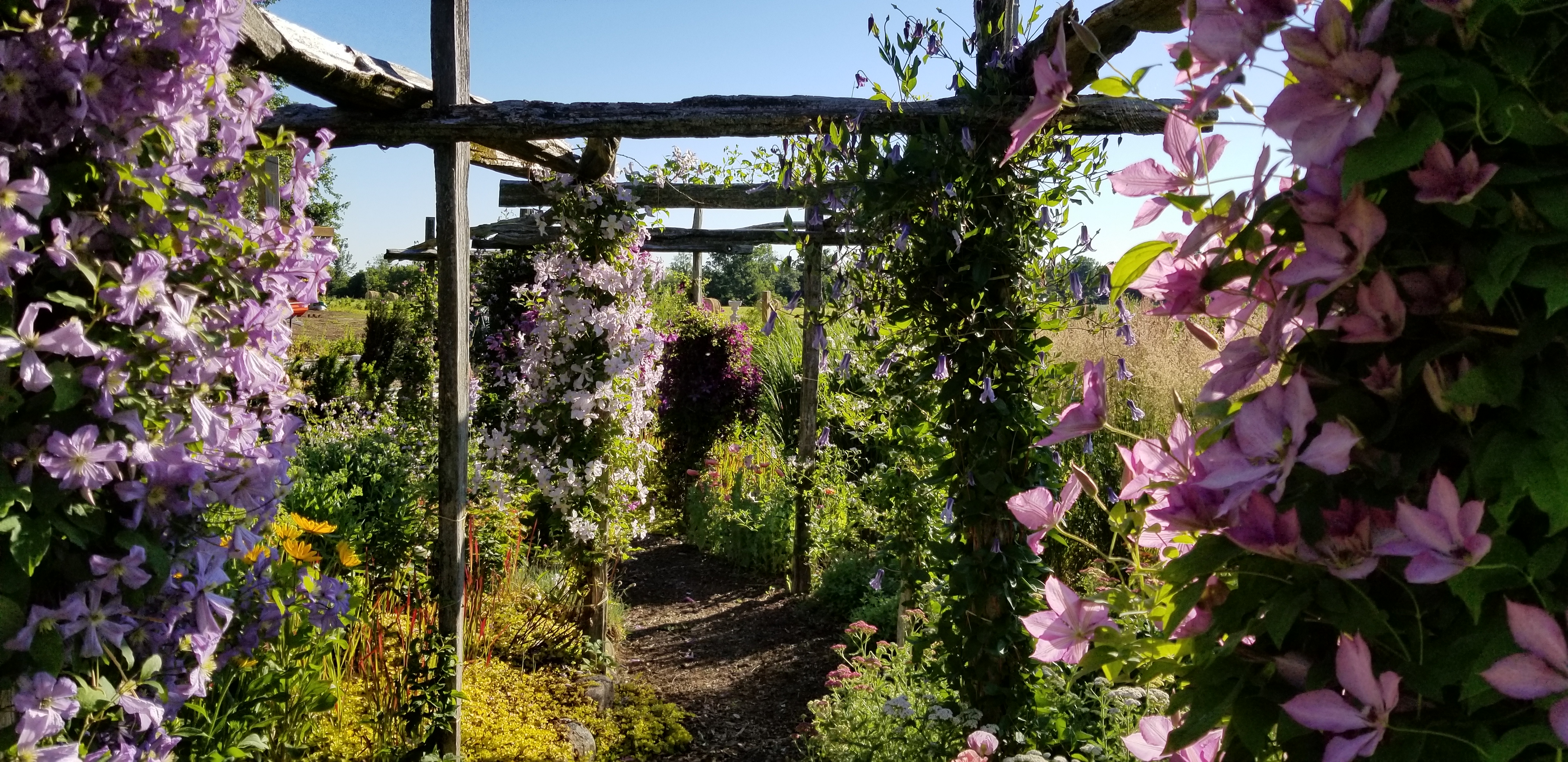 Outdoor Wedding Venue Roseneath Meadow View Gardens