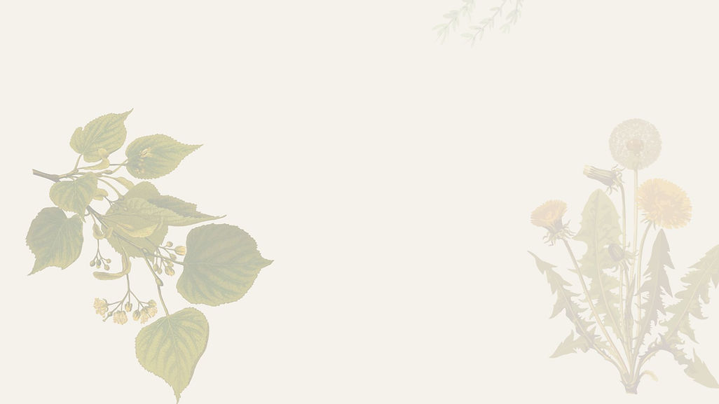 Events Draft (7).jpg