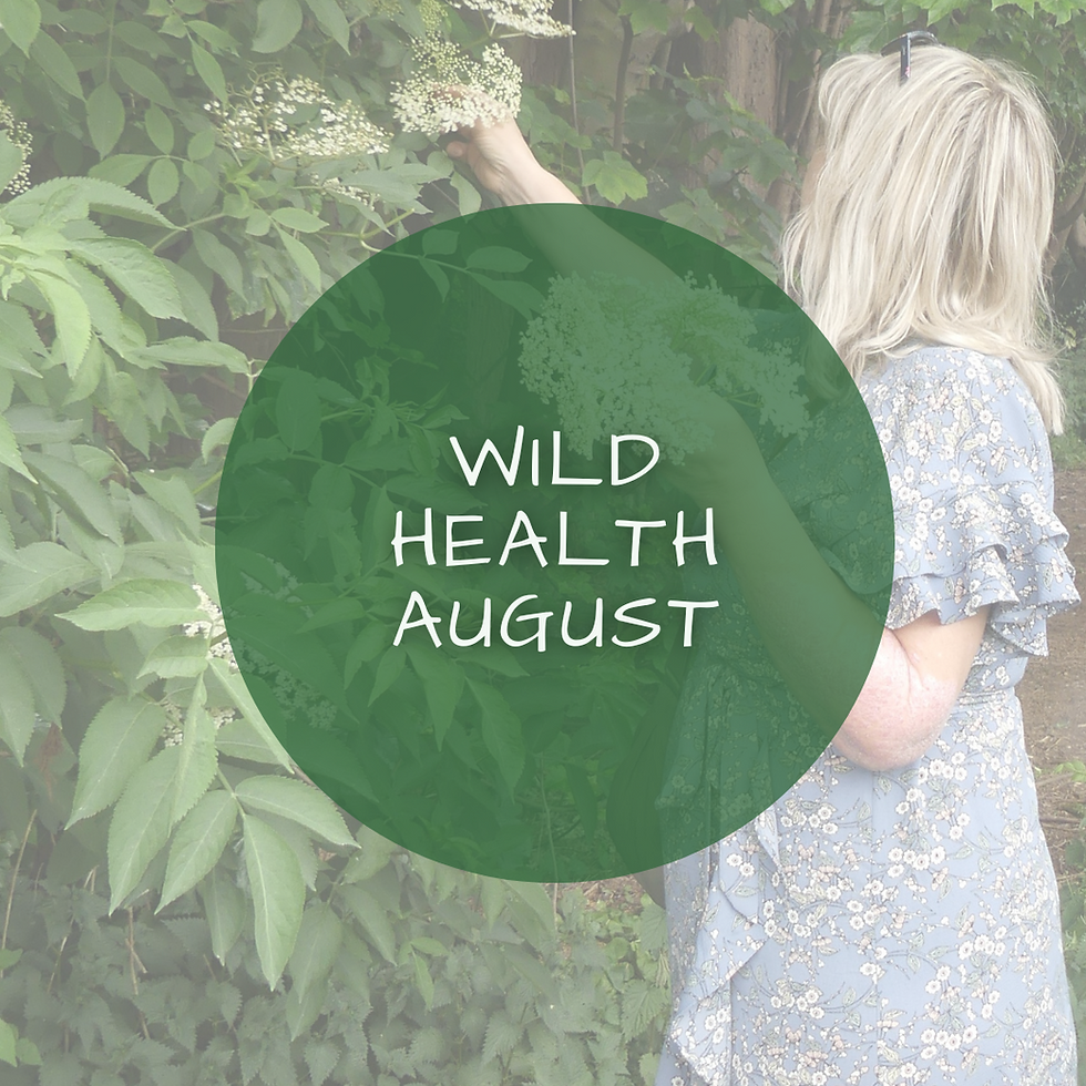 Wild Health - Chorlton Water Park (August Herb Walk)
