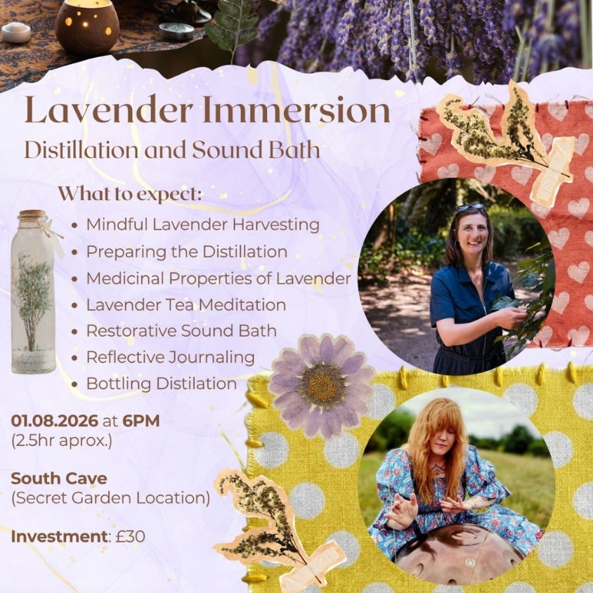 🌿 Lavender Immersion – Distillation & Sound Bath🌿