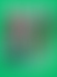 雑誌【FUDGE】9月号に掲載されました