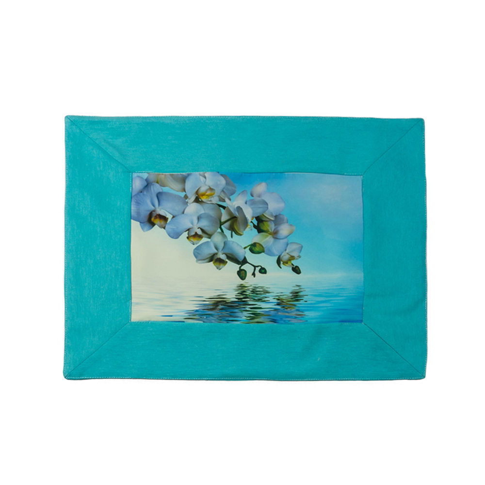 Тишлайфер Отражение