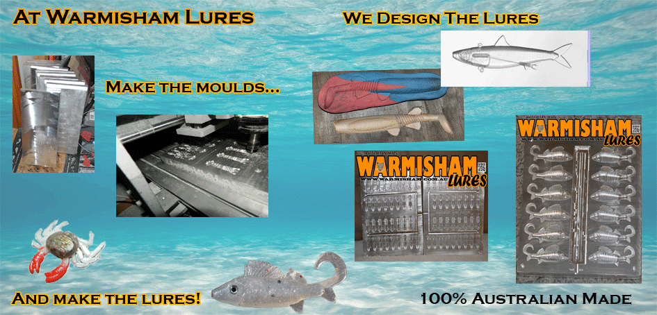 Custom softplastic fishing lure mould