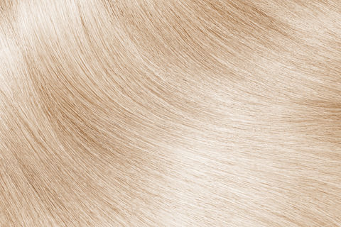 AdobeStock_243285887.jpeg