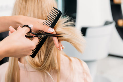 AdobeStock_184258205.jpeg