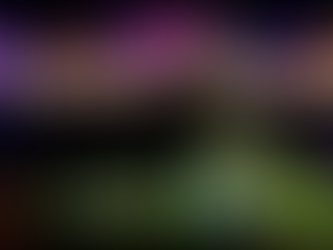 Winter Woods Spectacular Works to Spread Light and Holiday Cheer