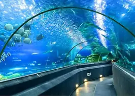 vien-hai-duong-hoc-nha-trang-2-3533.webp