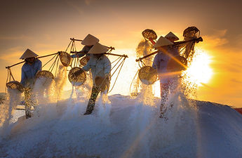 designer vietnam tours
