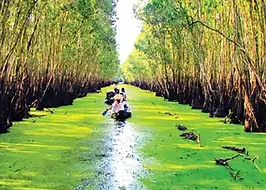 Designer Vietnam Tours