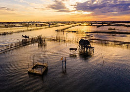 dawn-5833797_1280.jpg