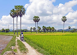 Designer Vietnam Tours