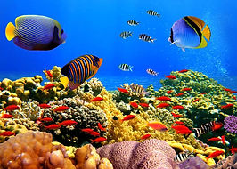 dia-diem-lan-ngam-san-ho-tai-phu-quoc-1.jpg
