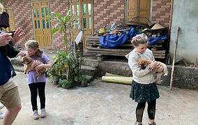 Vietnam tours