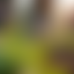 Volunteer Today: Be a Voice for the People