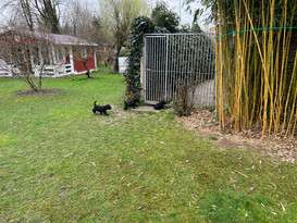 IMG_0870.jpeg
