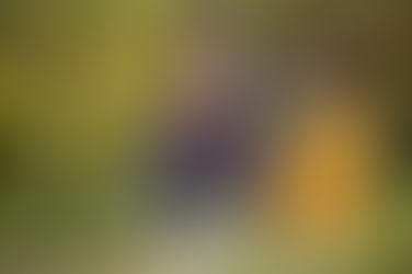 Volunteering - the Engagement that keeps on giving