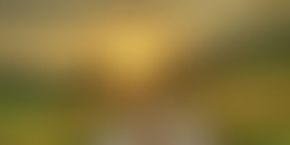 Welcome to Our Blog!