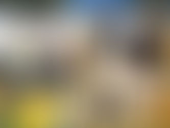 Hero wins best in specialty show at the Wine Country supported show.