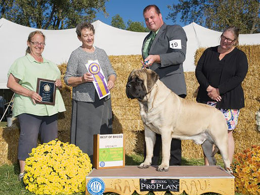 Hero wins best in specialty show at the Wine Country supported show.