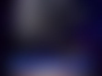 GCHS. Harvest Haze By Unanimous Decision #5 Breed and #5 All Breed