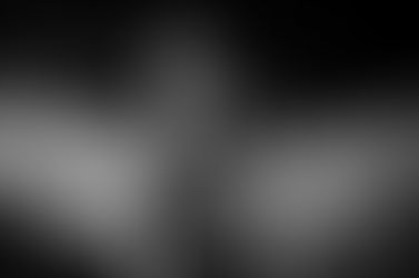 Horcas en CCP de Luján 16 de Diciembre de 2016