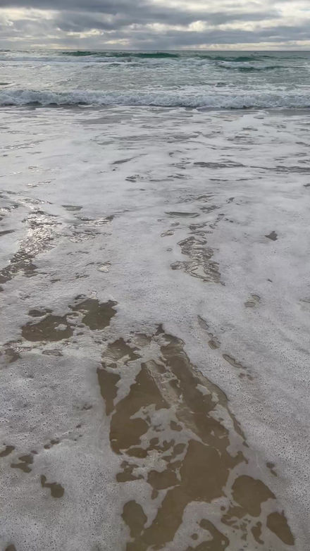 Autumn morning swim = sublime