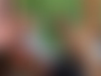 Musing on a Saturday Morning 