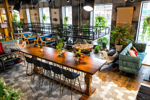 Modern open-plan interior with long communal wooden table