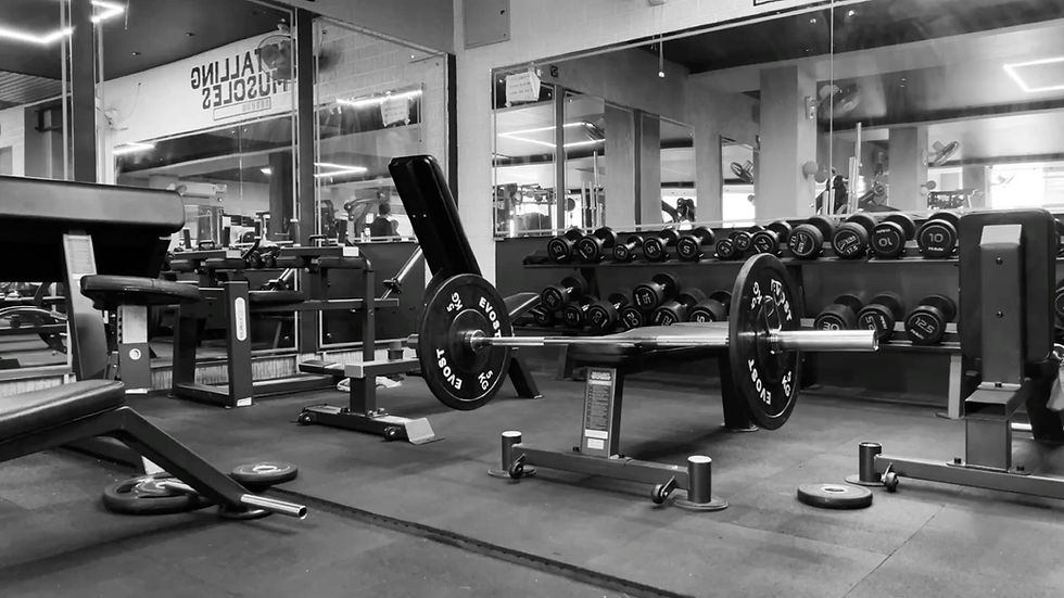 WhatsApp Bild 2025-10-29 um 19.54_edited.jpg