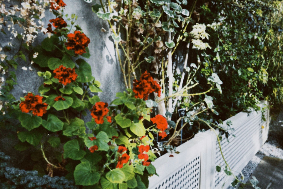 "Isso é real ou está apenas acontecendo dentro da minha cabeça?" - segunda versão