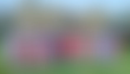 Ground broken for new Augustinian school in Kenya during the Ordinary Chapter