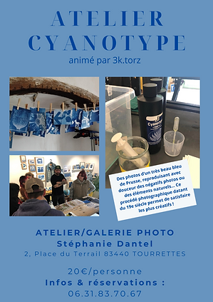 Blue Cyanotype Floral Marketing Poster.png