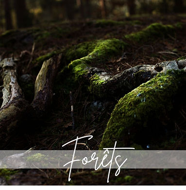 Publications carré (16).jpg