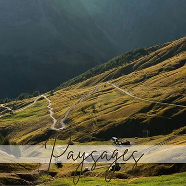 Publications carré (12).jpg