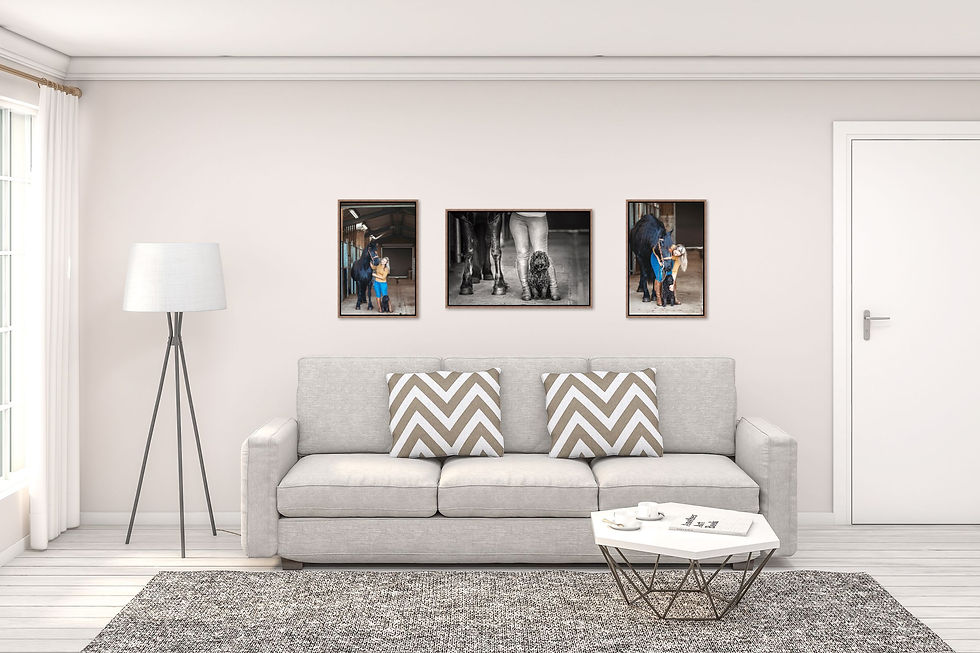 Studio Gray Sofa