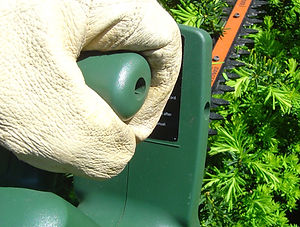 hedge-trimmer-1536425.jpg