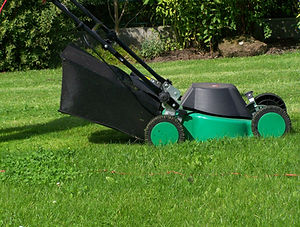 man-at-work-1237421.jpg