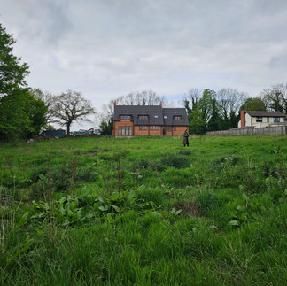 Detached house in field