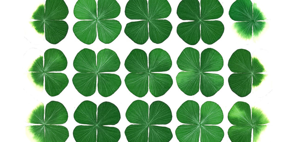 Marsilea_.jpeg