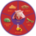 QUADRANTS_LAMB (1).png
