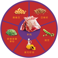QUADRANTS_LAMB (1).png